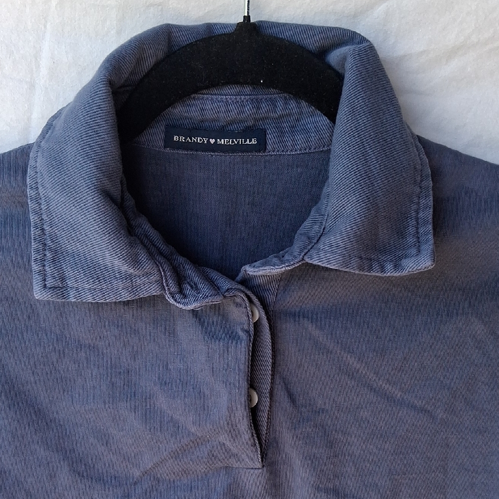 Brandy Melville Blue Crop Top - Picture 2 of 10